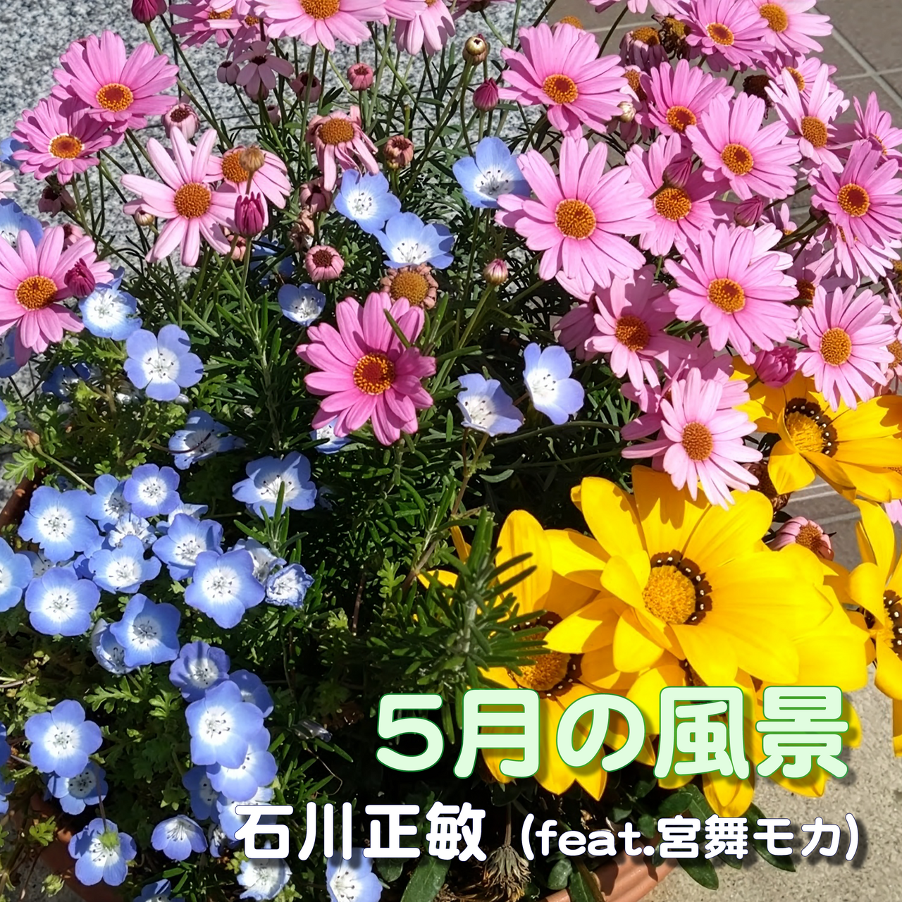 5月の情景